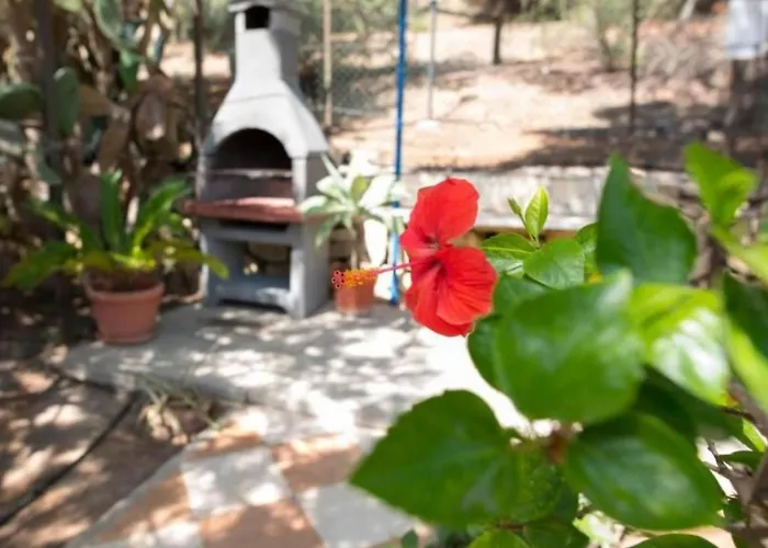 Lejlighed In Mit Terrasse Und Garten By Interhome *